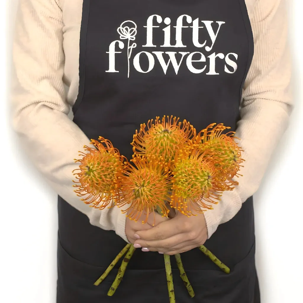 Electric Orange Pin Cushion Flower