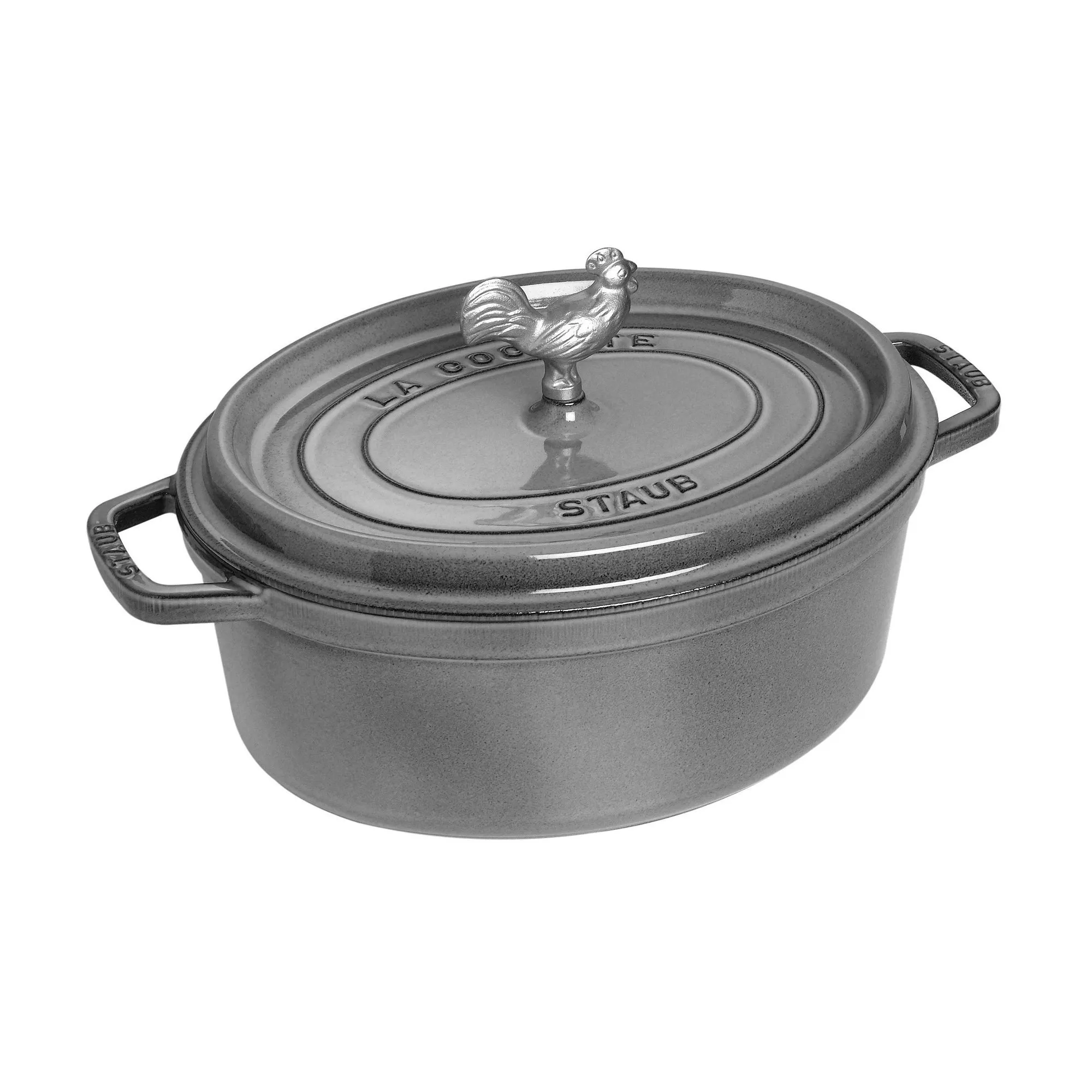 Enameled Cast Iron Coq a Vin Cocotte