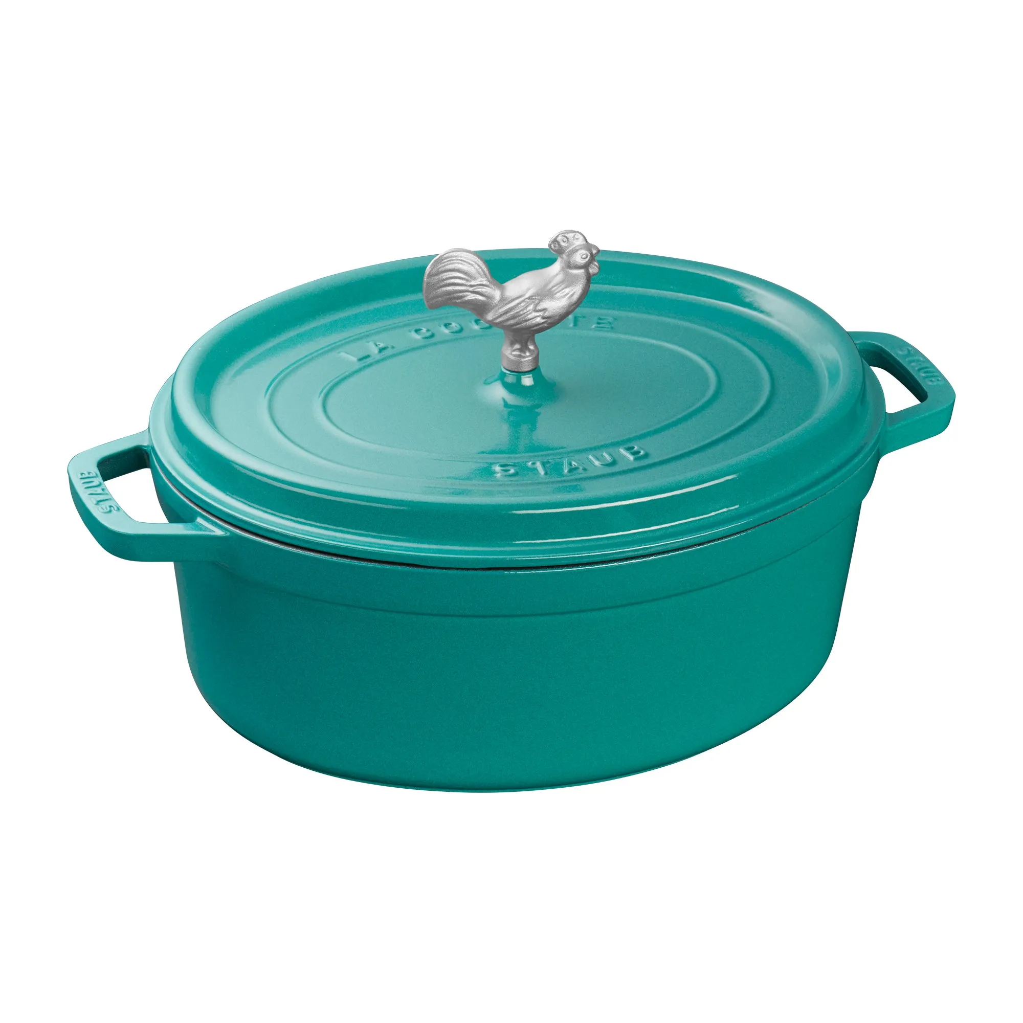 Enameled Cast Iron Coq a Vin Cocotte