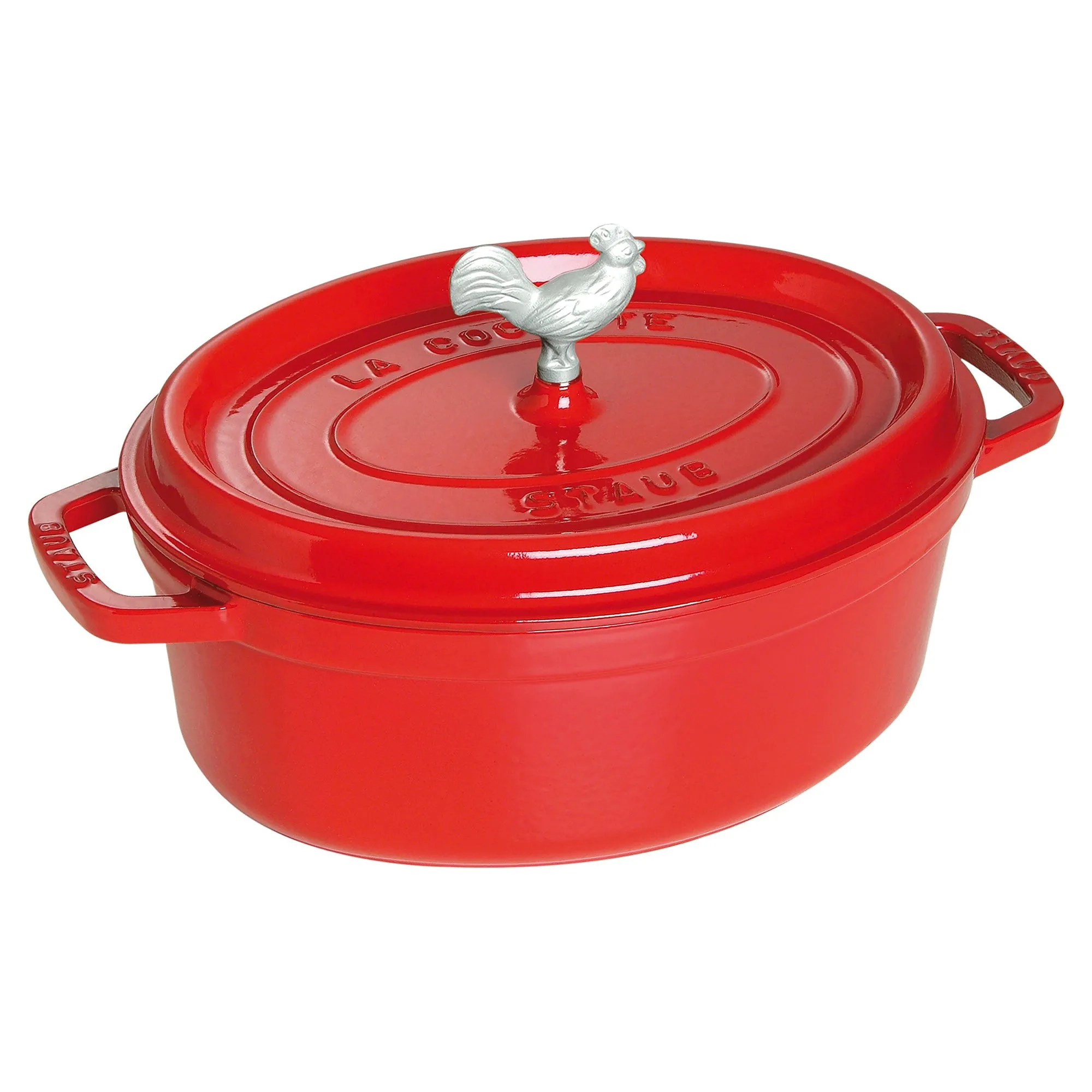 Enameled Cast Iron Coq a Vin Cocotte