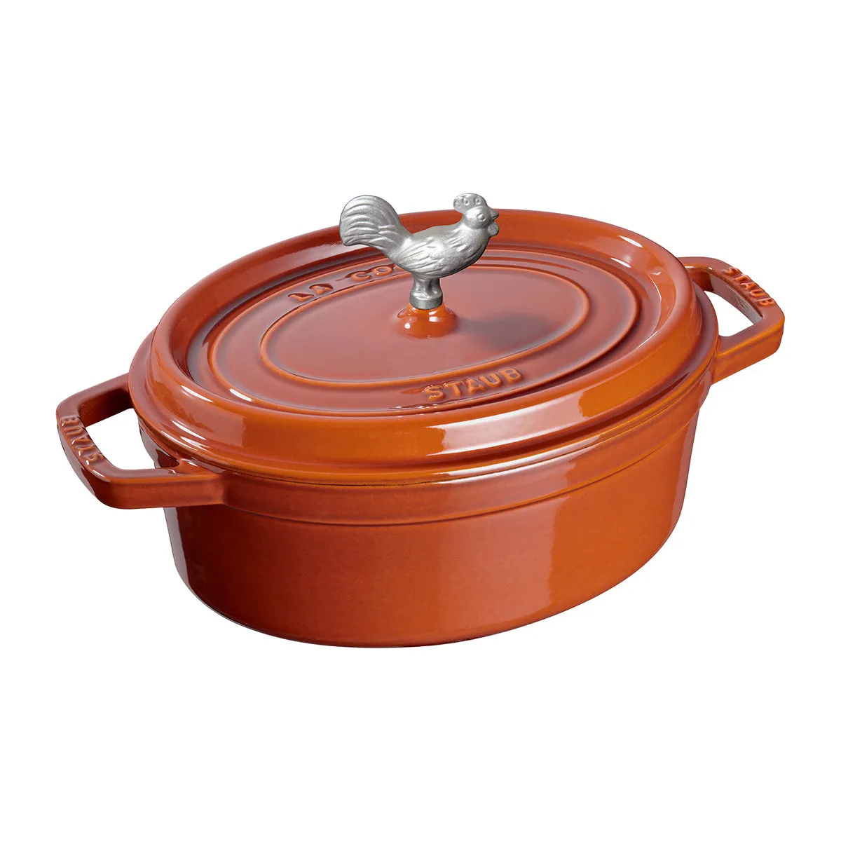 Enameled Cast Iron Coq a Vin Cocotte
